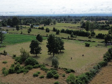 Venta / Terreno / Puyehue
