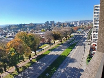 Venta / Departamento / Concepción