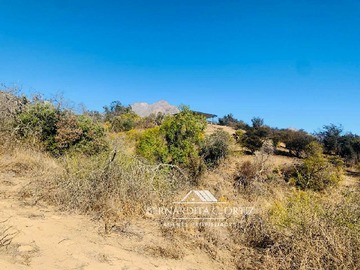 Venta / Terreno / Hijuelas