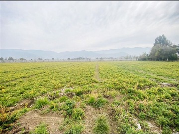 Venta / Sitio / Los Andes