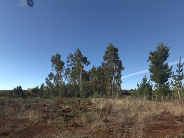 Venta / Terreno / Collipulli