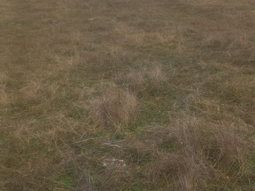 Venta / Terreno Agricola / Ninhue