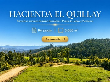 Venta / Parcela / Pichilemu