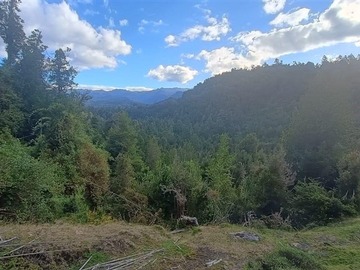 Venta / Terreno / Lago Ranco