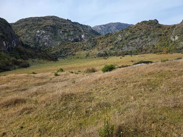 Venta / Terreno / Aysén