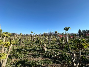 Venta / Terreno / La Serena