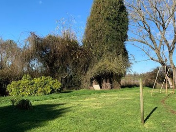 Venta / Terreno / Osorno