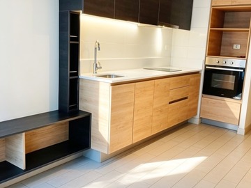 Arriendo Mensual / Departamento / Santiago