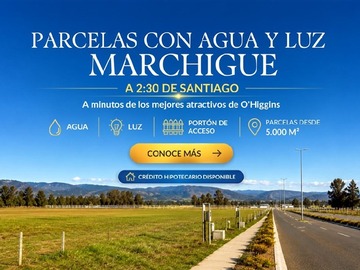 Venta / Parcela / Marchigüe