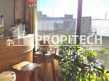 Arriendo Mensual / Departamento / Los Ángeles