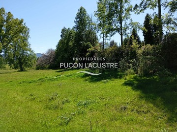 Venta / Terreno / Pucón