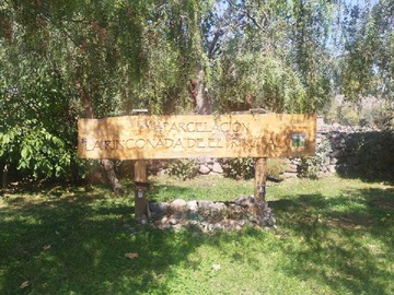 Venta / Terreno / Pirque