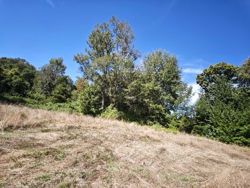 Venta / Terreno / Yungay