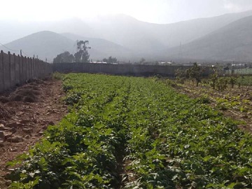 Venta / Terreno / La Serena
