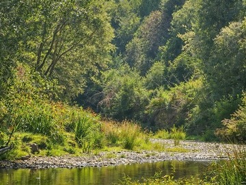 Venta / Parcela / Puerto Montt